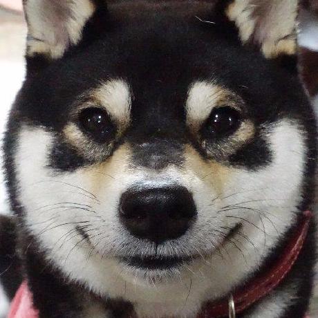 Yamaki Tsuyoshi Github - Creative 4K Ocean Backgrounds | Free Download