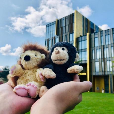 Chdwyb Yuanbo Wen Github - Premium Dark Image Gallery - Mobile