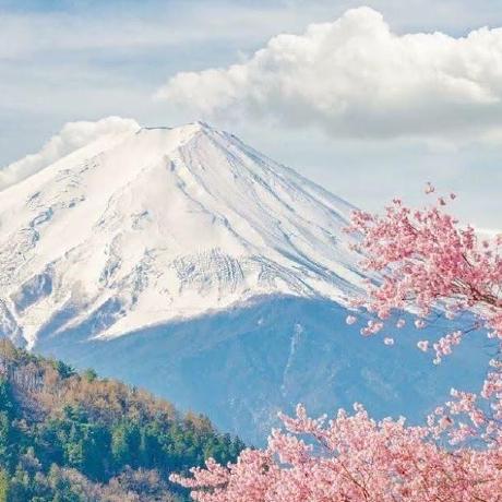 Dfr Hub Daffa Github - Premium Gradient Photo Gallery - 8K