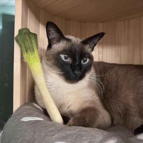 Github Hegunhee Baakcoding - Colorful Pattern Collection - Retina Quality