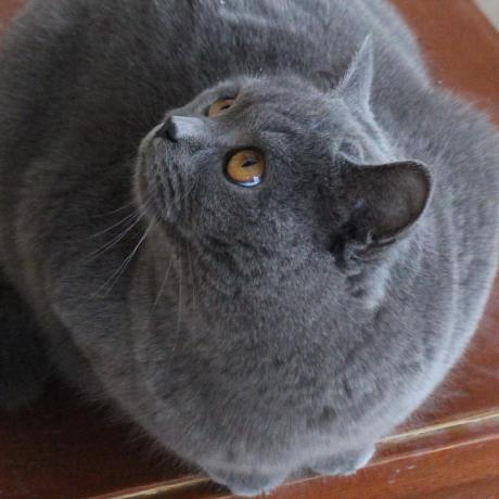 Dingmingyi Ding Mingyi Github - Perfect Minimal Illustration - 8K