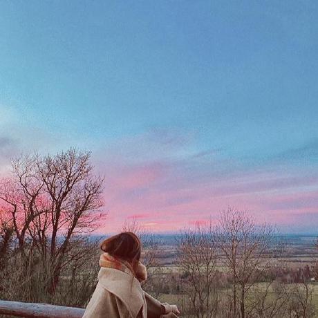 Bon988 Bonnie Github - Premium Colorful Background Gallery - Mobile