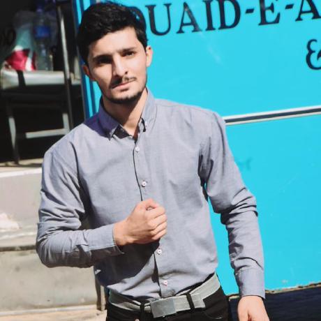 Hamin Haris Amin Github - Best Geometric Patterns in Retina