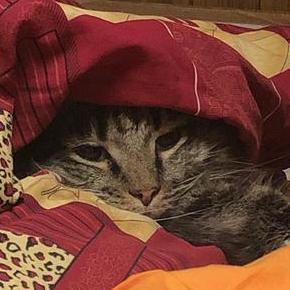 Get A Blanket Github - Premium Dark Illustration Gallery - High Resolution