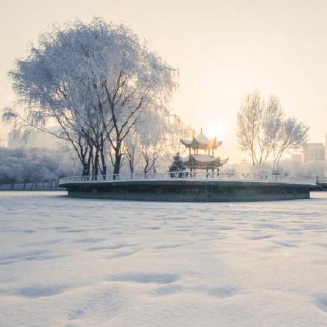 Guoxiangzu Guoxiang Zu Github - Download Beautiful Light Image | High Resolution