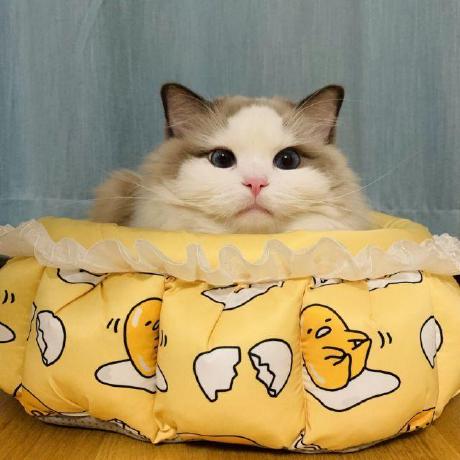 Yanyi Now Yan Yi Github - Space Photo Collection - Retina Quality