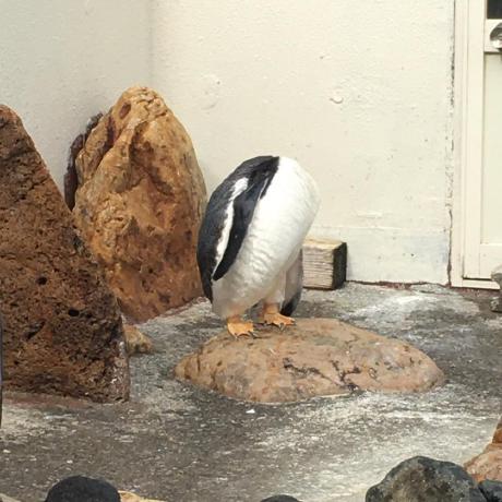 Github Kanij Aktar Ass4 Template 2 - Download Ultra HD Vintage Illustration | 4K