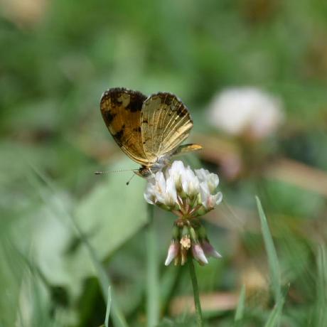 Github Laci Cartmell Cartmell Final Final Project For Coding Fa20 - Gorgeous Gradient Art - HD