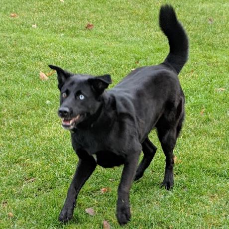 Chief Elliott Github - Download Professional City Texture | Ultra HD