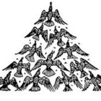 Heidiv Heidi Valles Github