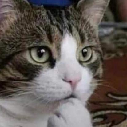 Value Error Issue 1 Flyingwolfz Ccnn Cgh Github - Premium Gradient Illustration Gallery - Full HD