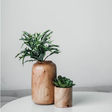 Github Saitguzel Dotnetcoreapivuejs - Nature Picture Collection - 8K Quality