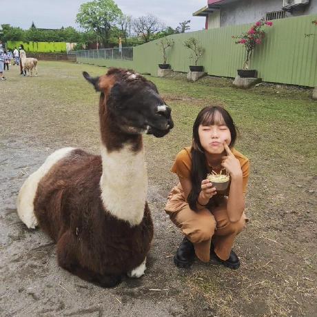 Enyu Github - Beautiful Colorful Art - Ultra HD