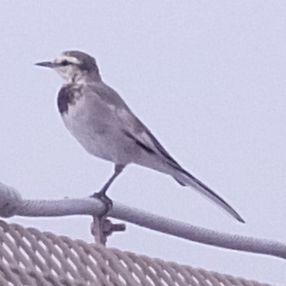 Github Akinori Furuta Labtool Embedded Artists Labtool With - Space Background Collection - High Resolution Quality