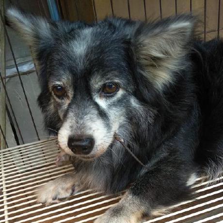 Github Holiman Billy Very Simple Datastore - Elegant 4K Gradient Pictures | Free Download