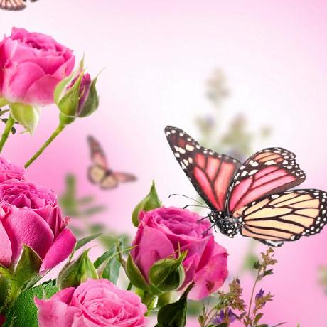 Formu Timur Github - Landscape Textures - Creative 4K Collection