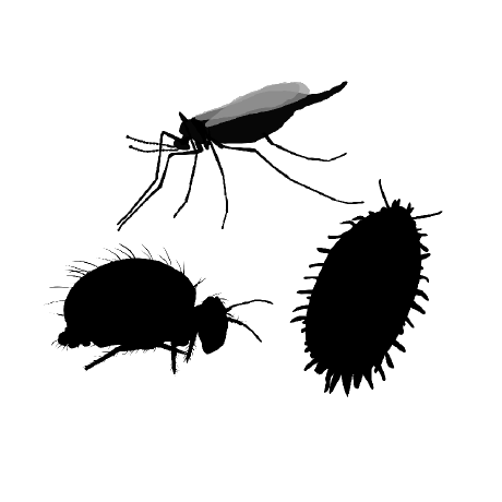 Som Rosslab Github - Elegant Dark Illustration - Retina