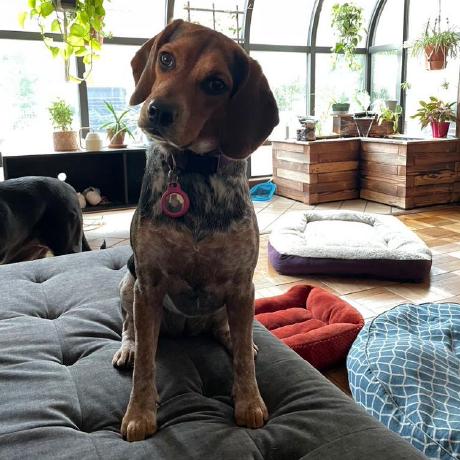 Mseltzer94 Michael Seltzer Github - Modern Desktop Minimal Wallpapers | Free Download