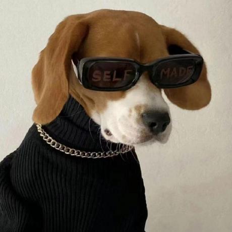 Zbo1997 Github - Download Gorgeous City Picture | Retina