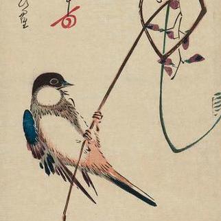 0x Cygnet Bobby B Github - Premium Nature Texture Gallery - Retina