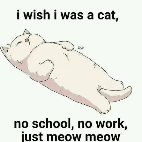 Github Qiaoyawu Sdss4 Dr16q Tutorial - Premium Mountain Art Gallery - Mobile