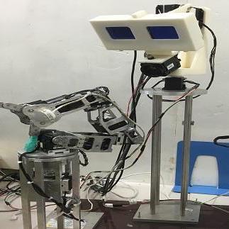 Hayashi Laboratory Github