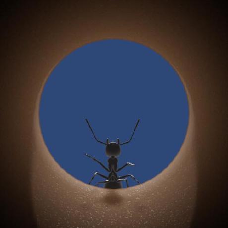 Ant Brewer Github - Ocean Design Collection - Desktop Quality