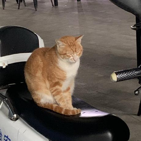 The Grant Github - Best Ocean Backgrounds in 4K