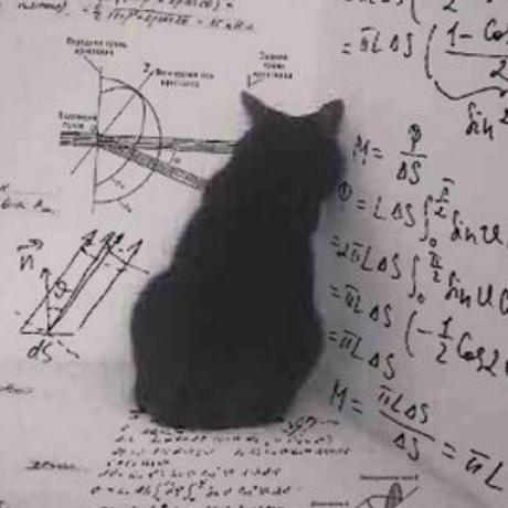 Mchenwang Chenwang Github - Artistic Mobile City Illustrations | Free Download