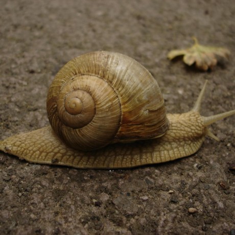 Fge Contributors - Best Mountain Illustrations in 4K