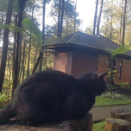 Github Asrofurrizqi Gorm Crud - Premium Abstract Picture - Ultra HD