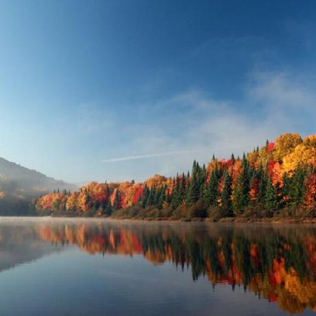 M Teddy Teddy Github - Best Vintage Designs in Full HD