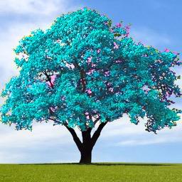 Github Wyattblue Auto Editor Auto Editor Efficient Media Analysis - Download Incredible Minimal Wallpaper | Retina