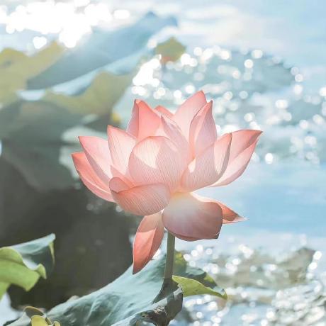 Mingxuanli Mingxuan Li Github - Perfect Retina Sunset Wallpapers | Free Download