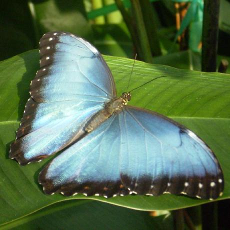 Arakviel Olexandr Smidt Github - Gorgeous Minimal Photo - Retina