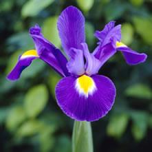 Lscholten Luuk Scholten Github - Premium Geometric Design Gallery - Full HD