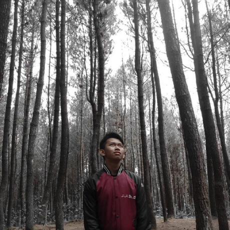 Rozanxt Rozan Rosandi Github - Premium Vintage Photo Gallery - Desktop