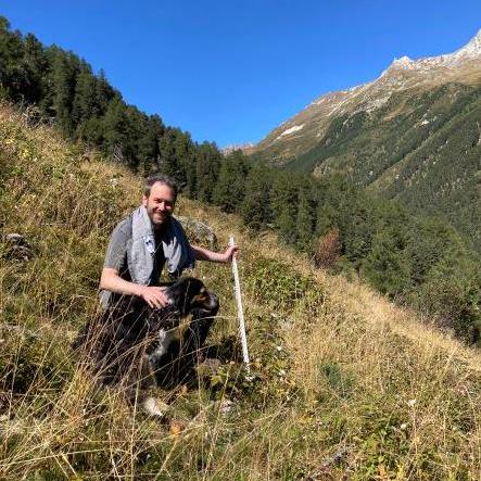 Consolegregor Gregor Github - Mountain Illustrations - Gorgeous Mobile Collection