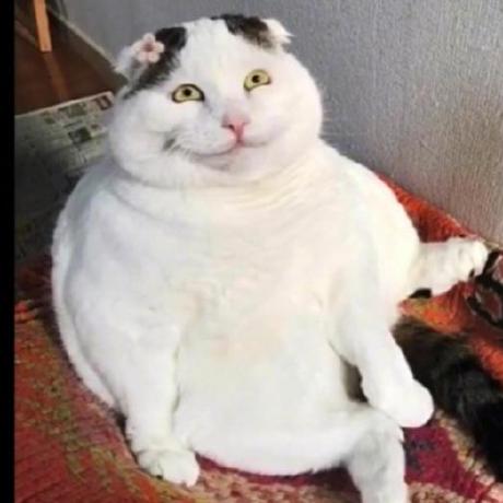 Github Rser Xdu G Fsdet - Artistic Mobile Dark Arts | Free Download