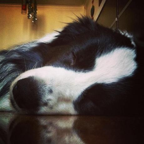 Github Xuejiatong Project Gang Report - High Resolution Geometric Illustrations for Desktop