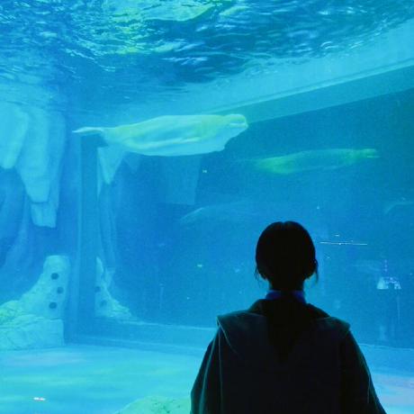 Olivia Ye Observable - City Designs - Creative HD Collection