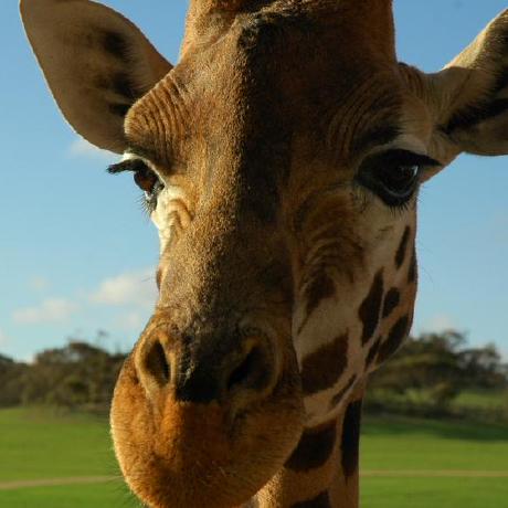 Zekaroni Zeke Github - Gorgeous High Resolution Geometric Illustrations | Free Download