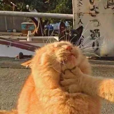 Bobbyrchan Bobby Chan Github - Premium Abstract Texture Gallery - Retina