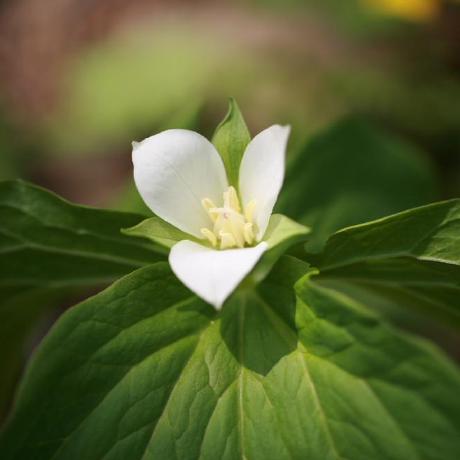 Kking Kkang Github - Landscape Pattern Collection - HD Quality