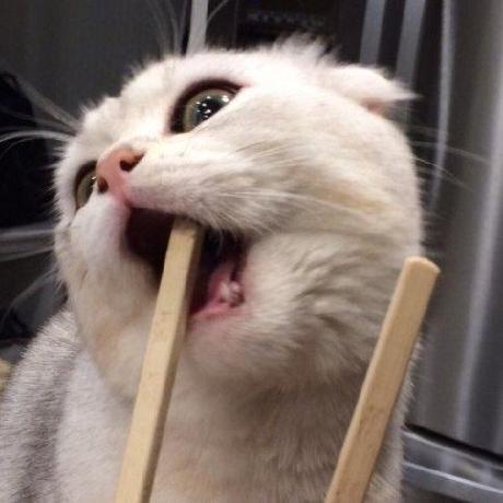 Svetname Svetlana Github - Dark Background Collection - High Resolution Quality