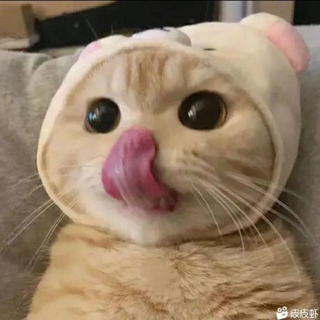 Katyoung91 Kat Github - Artistic Retina Light Arts | Free Download