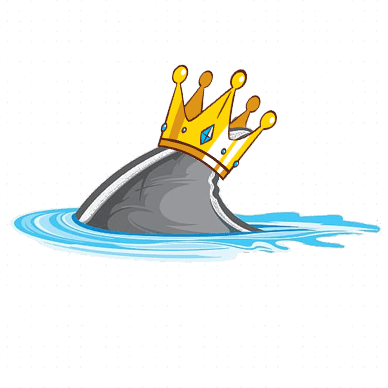 Marvincg Marvin Github - Sunset Picture Collection - 8K Quality