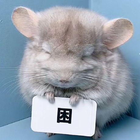 Chris Godz Chris Chow Github - Best Geometric Images in High Resolution