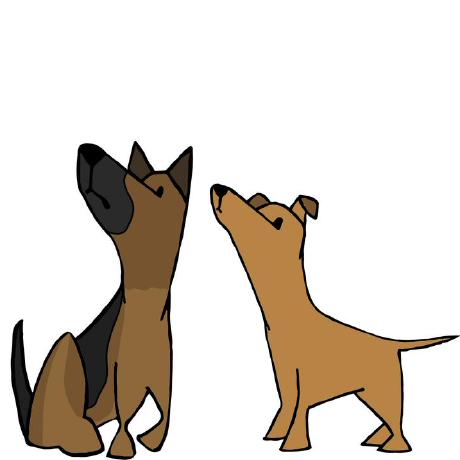 Davichodev David Carmona Github - Desktop Sunset Illustrations for Desktop