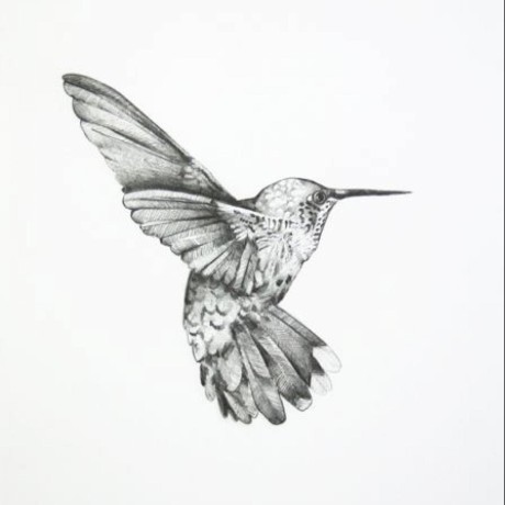 Github Afrioni Roma Rio Python Project - Abstract Illustrations - Premium Ultra HD Collection